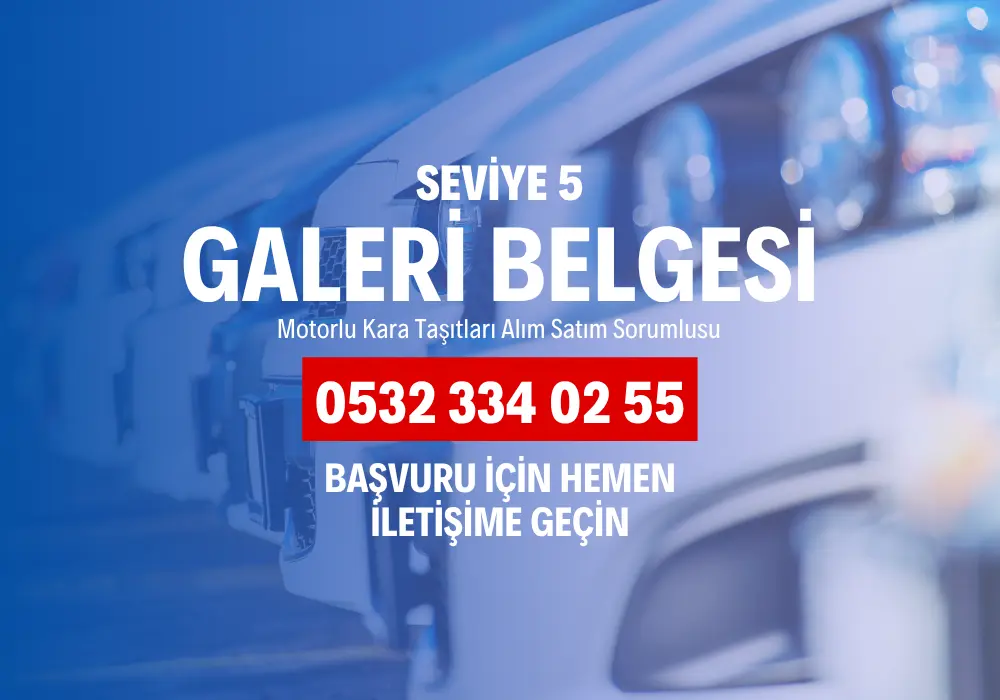 seviye 5 galeri belgesi